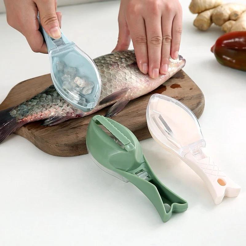 Fish Cleaning / Scraping Tool