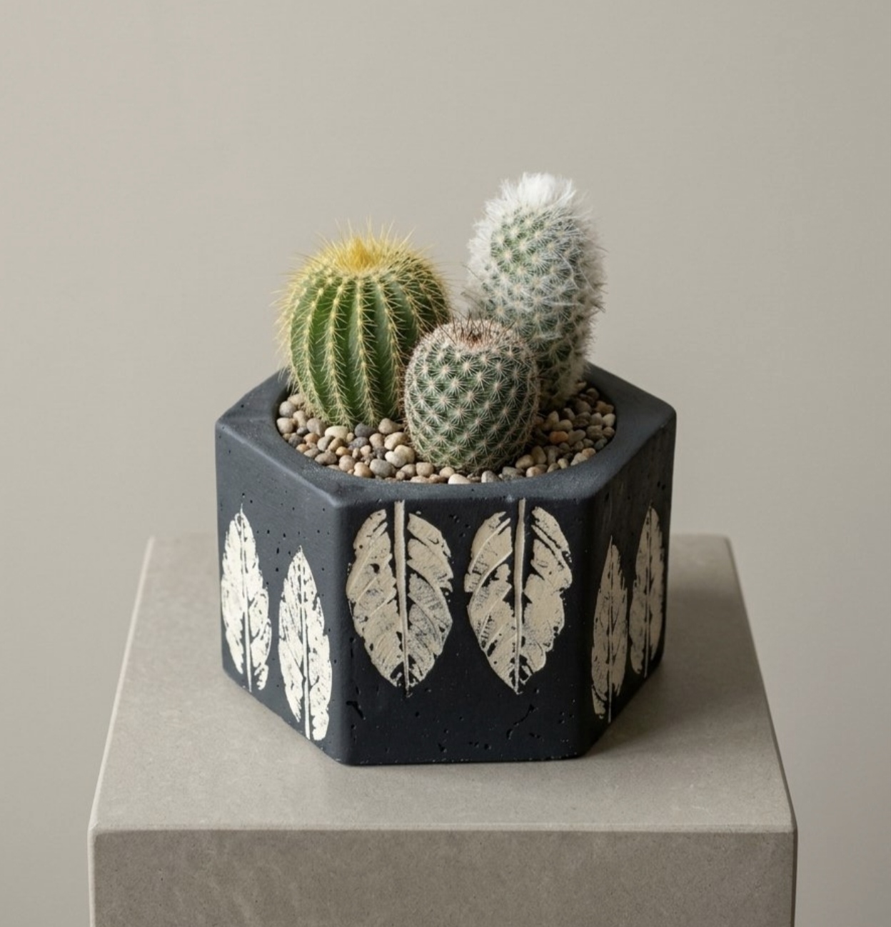 Square Concrete Cactus Planter