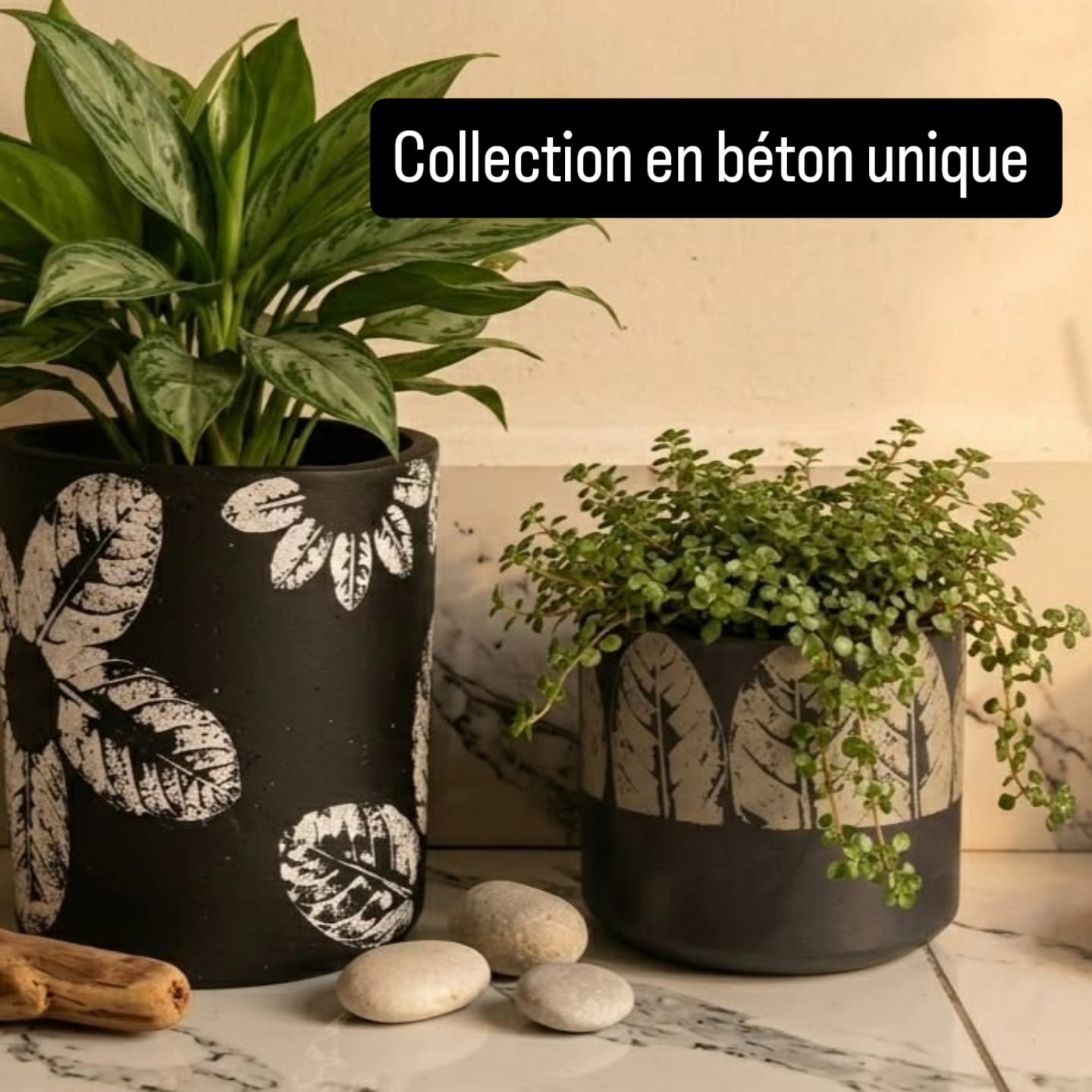 Tall Leaf Motif Concrete Planters