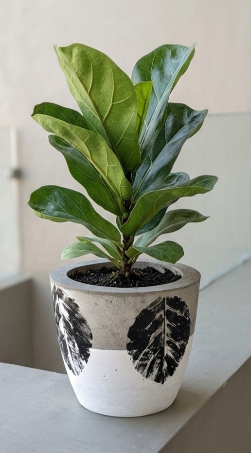 Botanical Concrete Planter